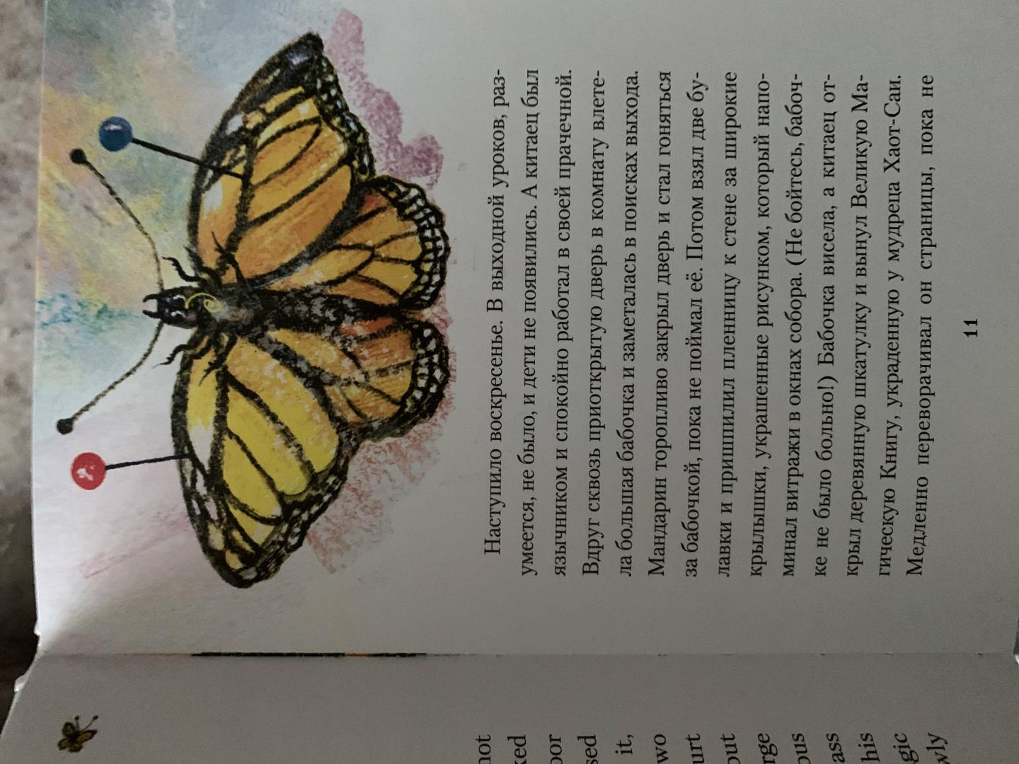 Иллюстрация 27 из 28 для Мандарин и бабочка - Лаймен Баум | Лабиринт - книги. Источник: Гончарова  Марина
