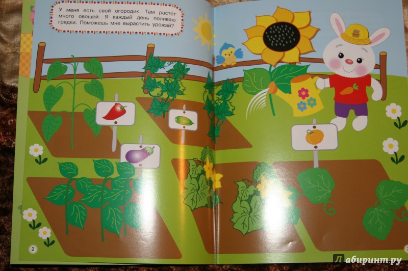 Иллюстрация 5 из 40 для Овощи-фрукты | Лабиринт - игрушки. Источник: Кабанова  Ксения Викторовна