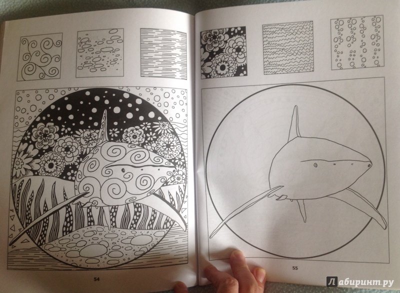 Иллюстрация 3 из 23 для Загадочный океан. Один день - один зендудл - Екатерина Иолтуховская | Лабиринт - книги. Источник: Kabachok