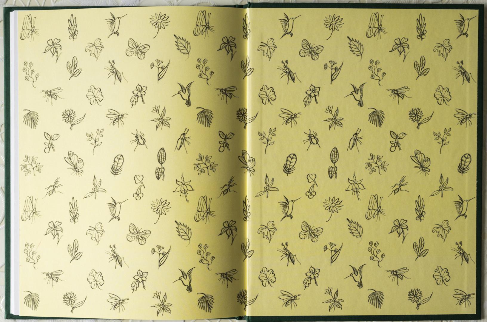 Иллюстрация 30 из 73 для Сказки сельвы: сказки о животных - Орасио Кирога | Лабиринт - книги. Источник: kvinden