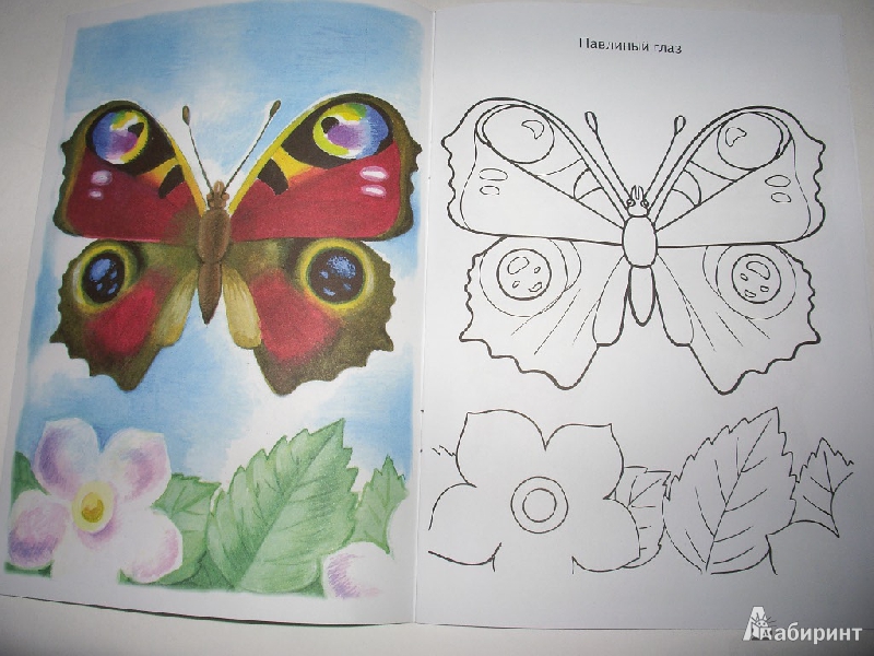 Иллюстрация 9 из 17 для Раскраска "Бабочки" | Лабиринт - книги. Источник: Tiger.