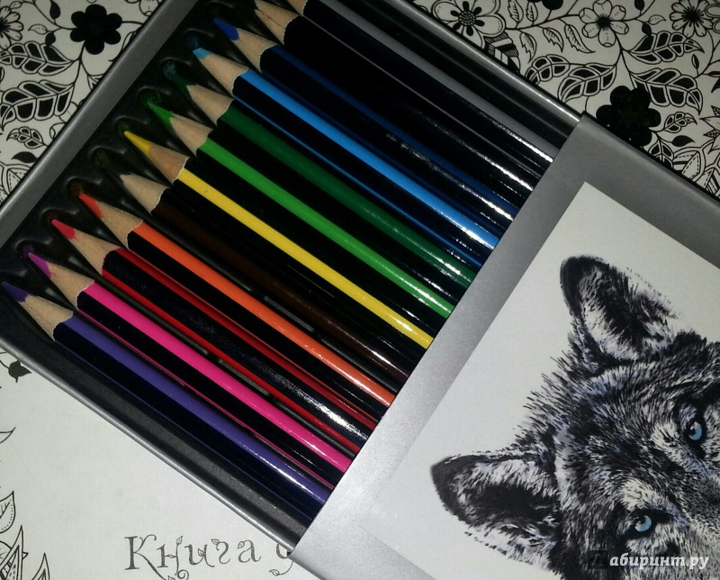 Иллюстрация 29 из 55 для Набор цветных карандашей, 12 цветов "Волк" (32870-12) | Лабиринт - канцтовы. Источник: Ирина