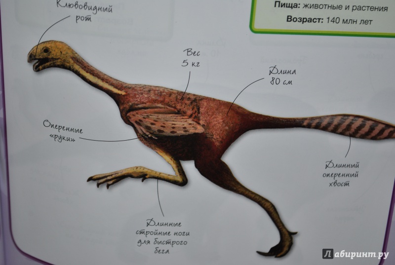 Иллюстрация 24 из 29 для Динозавры - Стив Паркер | Лабиринт - книги. Источник: Julka D