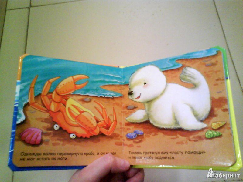 Иллюстрация 10 из 29 для Книжки-пищалки. Добрый тюлень | Лабиринт - книги. Источник: Мила