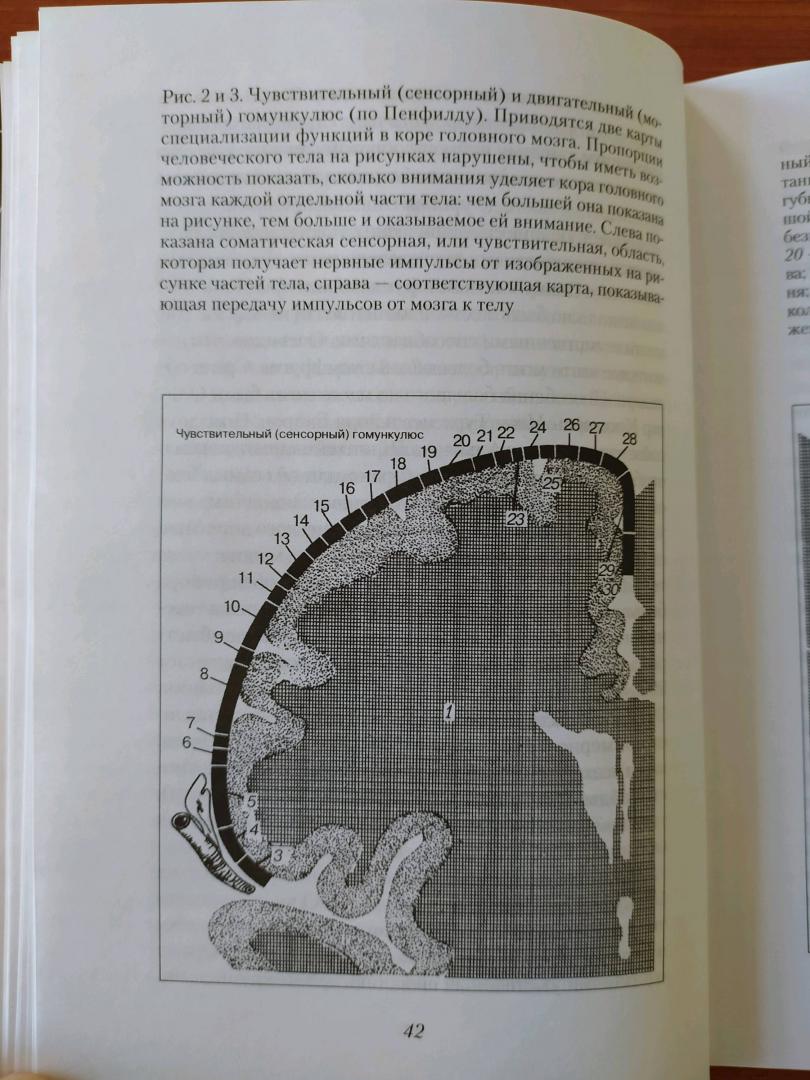 Иллюстрация 36 из 43 для Драконы Эдема. Рассуждения об эволюции человеческого разума - Карл Саган | Лабиринт - книги. Источник: akh007