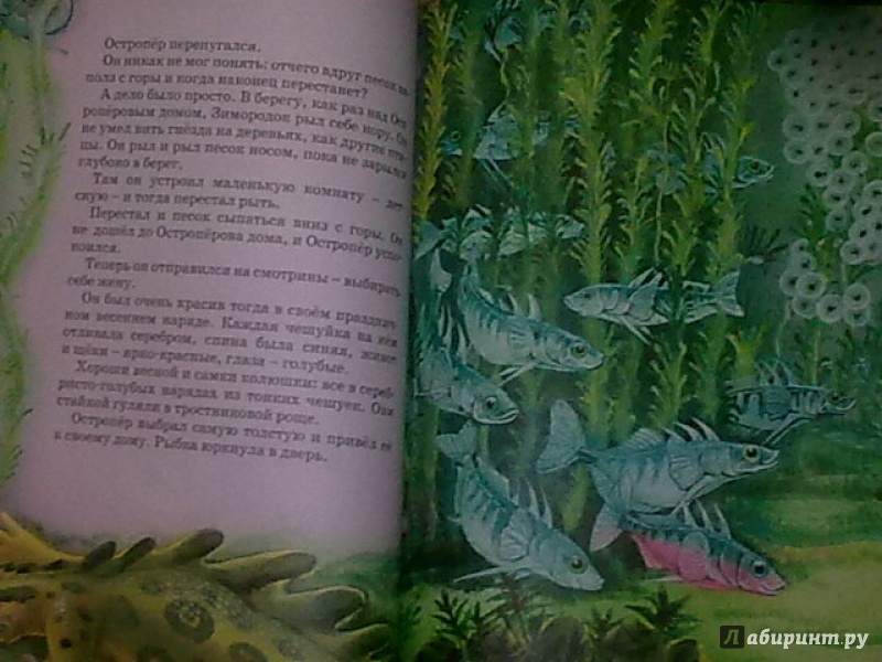 Иллюстрация 29 из 41 для Большая книга сказок - Виталий Бианки | Лабиринт - книги. Источник: н.в.а.