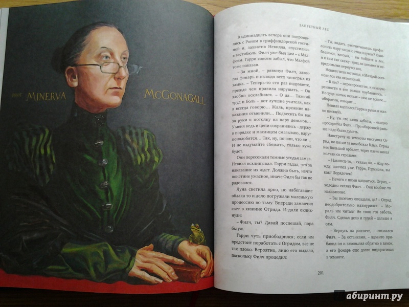 Иллюстрация 67 из 127 для Гарри Поттер и Философский камень (с цветными иллюстрациями) - Джоан Роулинг | Лабиринт - книги. Источник: Olga