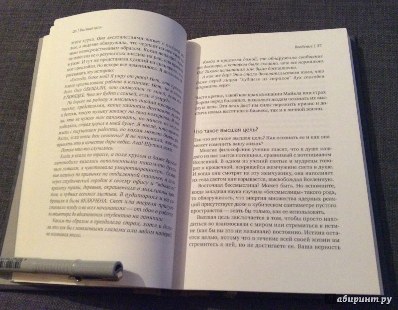 Иллюстрация 23 из 30 для Высшая цель. Секрет, который поддерживает вас каждую минуту - Майкл Рэй | Лабиринт - книги. Источник: Иванова-Тараканова  Екатерина