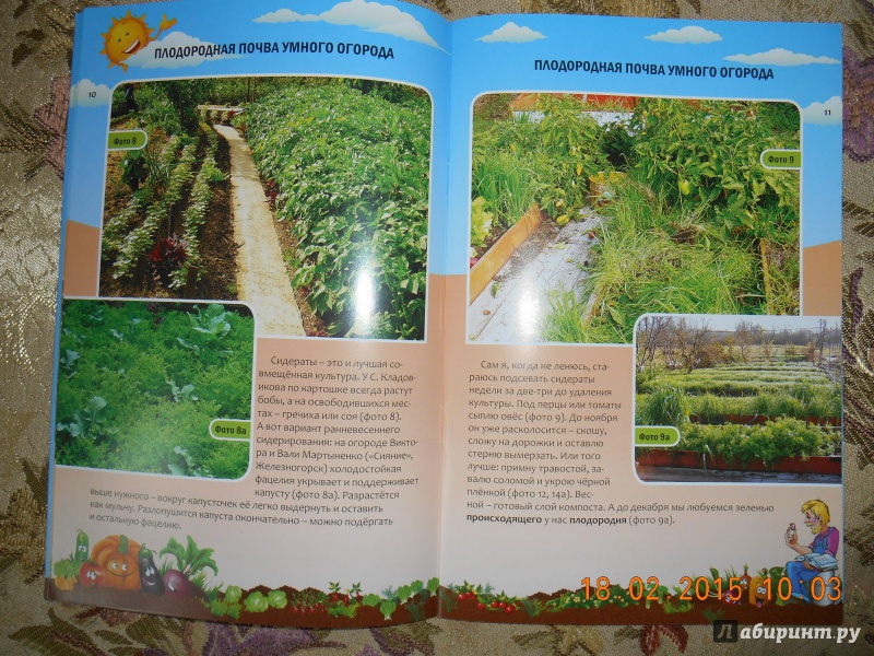 Иллюстрация 6 из 16 для Плодородная почва умного огорода - Николай Курдюмов | Лабиринт - книги. Источник: Ультрамарин