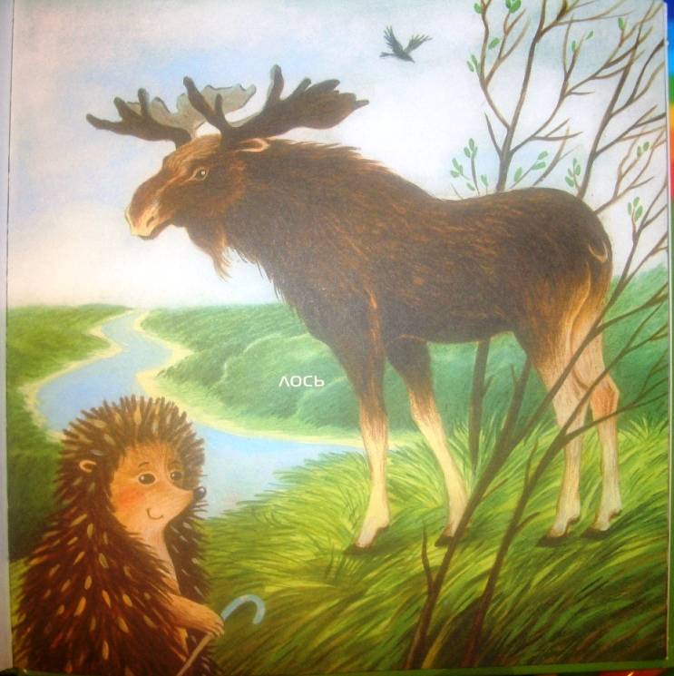 Иллюстрация 9 из 19 для Лесные животные и ежик Шуня - Татьяна Рик | Лабиринт - книги. Источник: Сокол1