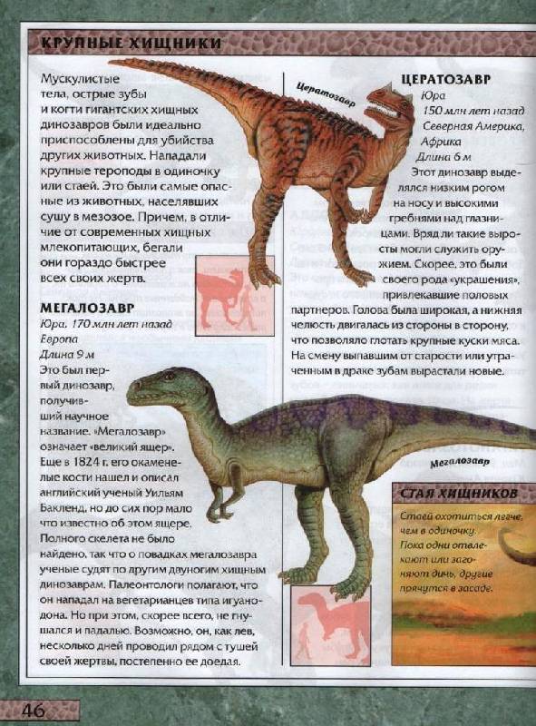Иллюстрация 13 из 49 для Большая иллюстрированная энциклопедия динозавров - Мэлам, Паркер | Лабиринт - книги. Источник: Zhanna