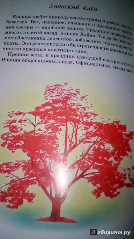 Иллюстрация 20 из 28 для Растения из Красной книги России - Юлия Дунаева | Лабиринт - книги. Источник: Смирнова Марина