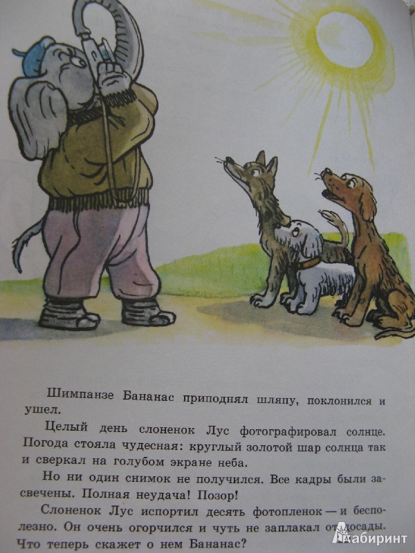 Иллюстрация 9 из 24 для Сказки в картинках В. Сутеева | Лабиринт - книги. Источник: Ольга