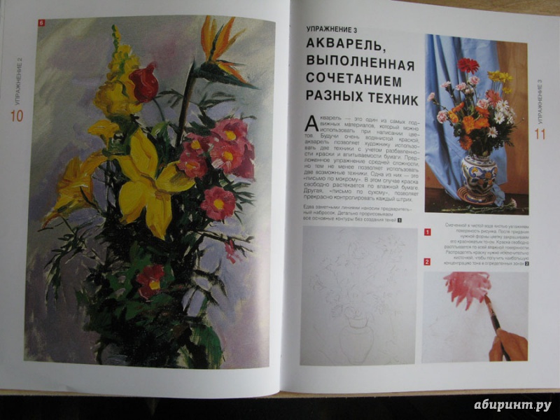 Иллюстрация 10 из 17 для Рисуем цветы. Экспресс - курс - Myriam Ferron | Лабиринт - книги. Источник: Sova