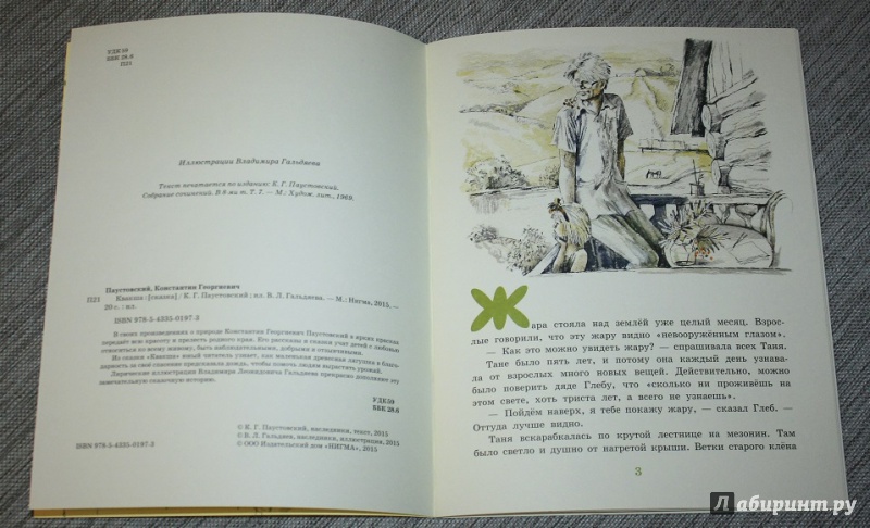Иллюстрация 36 из 46 для Квакша - Константин Паустовский | Лабиринт - книги. Источник: КНИЖНОЕ ДЕТСТВО