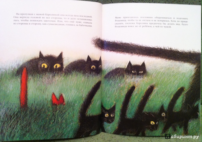 Иллюстрация 15 из 33 для История про кошку Розалинду, непохожую на других - Петр Вилкон | Лабиринт - книги. Источник: Kyu82