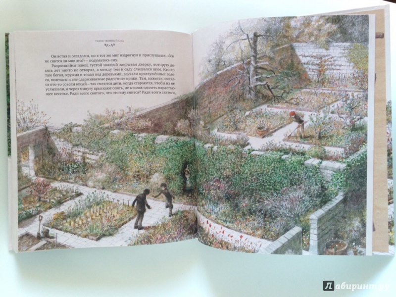 Иллюстрация 18 из 56 для Таинственный сад - Фрэнсис Бёрнетт | Лабиринт - книги. Источник: Сан Санна