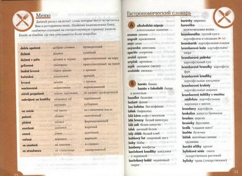 Иллюстрация 5 из 10 для Чешский разговорник и словарь | Лабиринт - книги. Источник: Ялина
