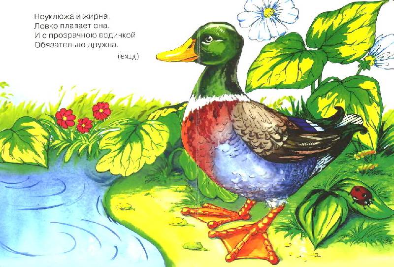 Иллюстрация 2 из 16 для Загадки - Ирина Яворовская | Лабиринт - книги. Источник: Machaon
