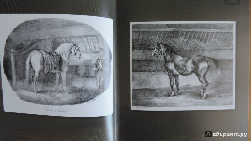 Иллюстрация 7 из 15 для Лошади. Старинные открытки и иллюстрации | Лабиринт - книги. Источник: Читалкины