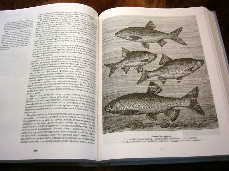 Иллюстрация 19 из 34 для Жизнь и ловля пресноводных рыб - Леонид Сабанеев | Лабиринт - книги. Источник: Nika