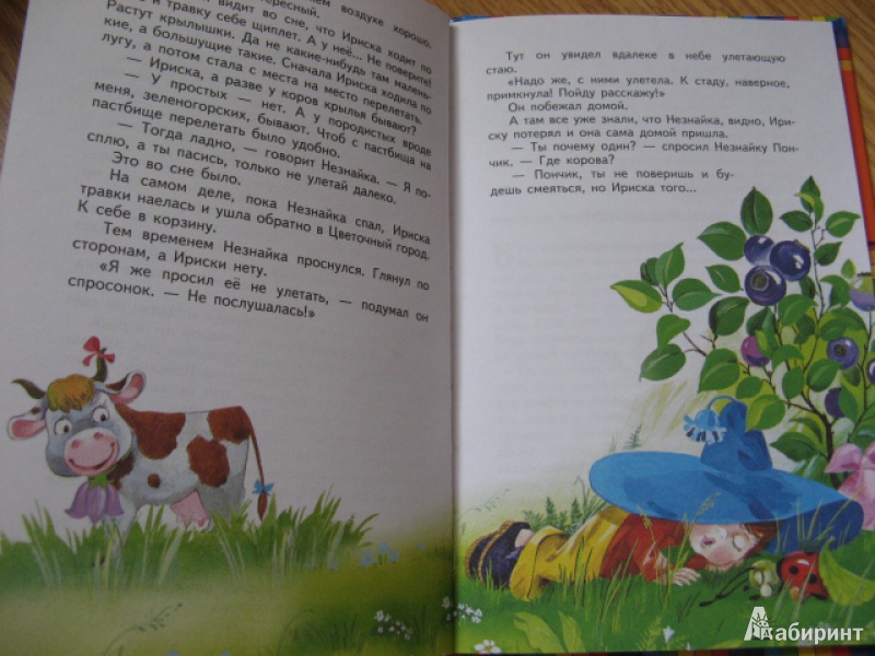 Иллюстрация 21 из 31 для Остров Незнайки - Игорь Носов | Лабиринт - книги. Источник: Лунный кот