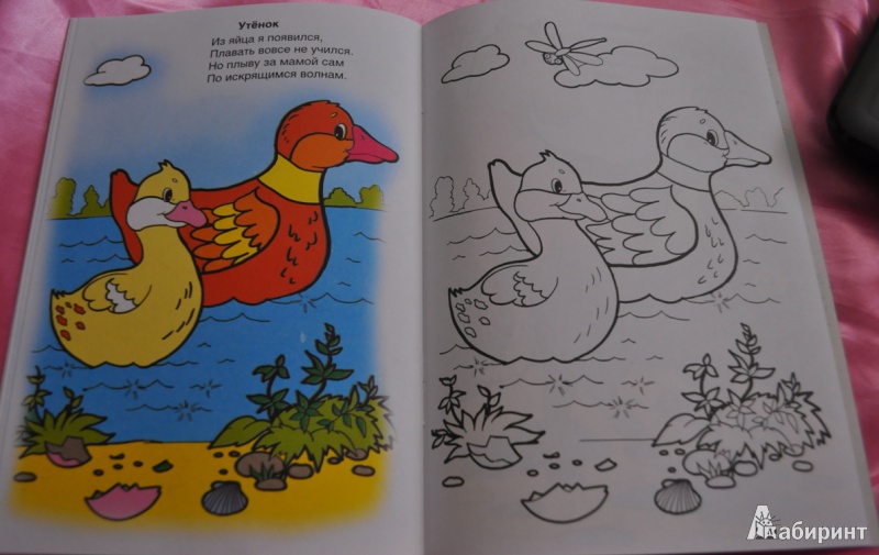 Иллюстрация 5 из 8 для Детки животных - Виктор Хесин | Лабиринт - книги. Источник: mashikmur