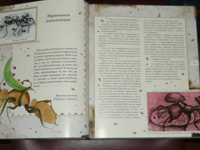 Иллюстрация 74 из 103 для Письма насекомых - Ольга Кувыкина | Лабиринт - книги. Источник: Ромашка:-)