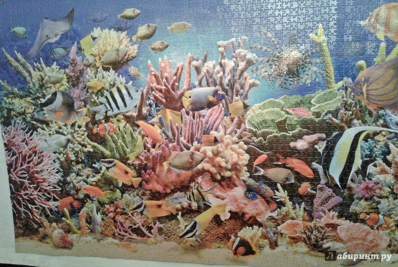 Иллюстрация 7 из 8 для Puzzle-4000 "Подводный мир" (С-400089) | Лабиринт - игрушки. Источник: Klementinka