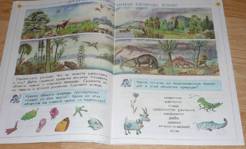 Иллюстрация 6 из 14 для Окружающий мир. Учебник для 1 класса. В 2 частях - Дмитриева, Казаков | Лабиринт - книги. Источник: Pam