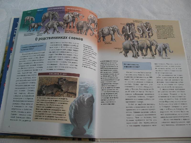 Иллюстрация 7 из 19 для Слоны - Ульрих Зедлаг | Лабиринт - книги. Источник: tayana