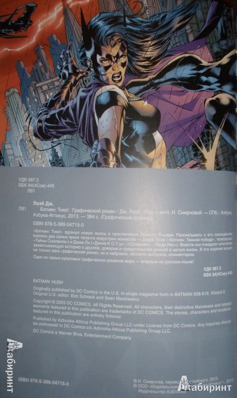 Иллюстрация 25 из 83 для Бэтмен. Тихо! - Джеф Лоэб | Лабиринт - книги. Источник: Максим Байчурин