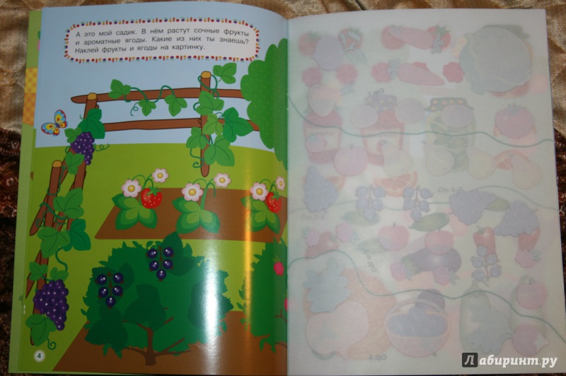 Иллюстрация 6 из 40 для Овощи-фрукты | Лабиринт - игрушки. Источник: Кабанова  Ксения Викторовна