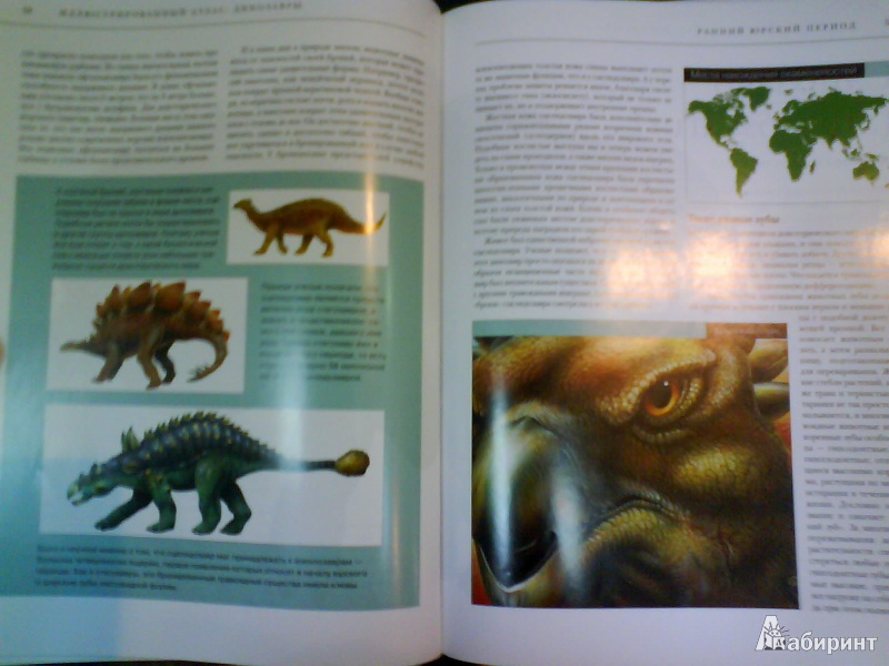 Иллюстрация 3 из 4 для Динозавры. Все самые грандиозные виды древнейших животных. Иллюстрированный атлас - Паула Хаммонд | Лабиринт - книги. Источник: Мила