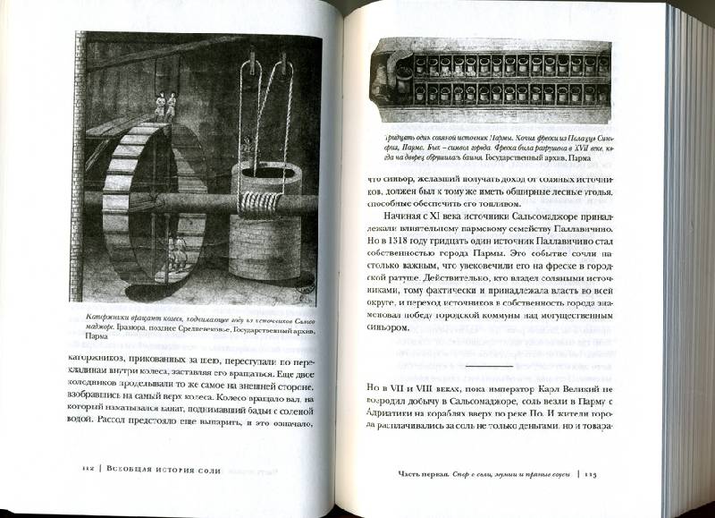 Иллюстрация 3 из 9 для Всеобщая история соли - Марк Курлански | Лабиринт - книги. Источник: Иванна