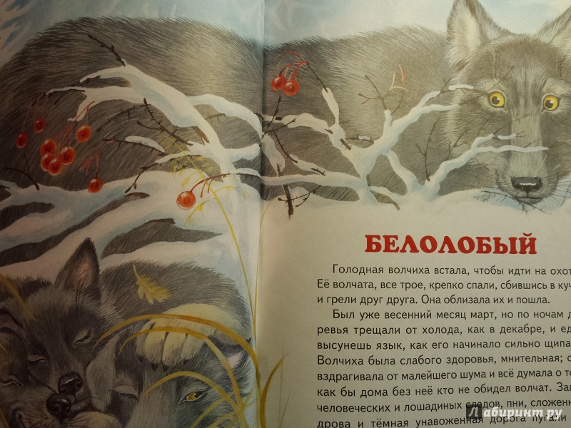 Иллюстрация 2 из 30 для Рассказы русских писателей о животных | Лабиринт - книги. Источник: Faina