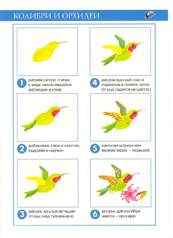Иллюстрация 14 из 21 для Заморские птицы (рисование красками) - Ирина Лыкова | Лабиринт - книги. Источник: Яровая Ирина