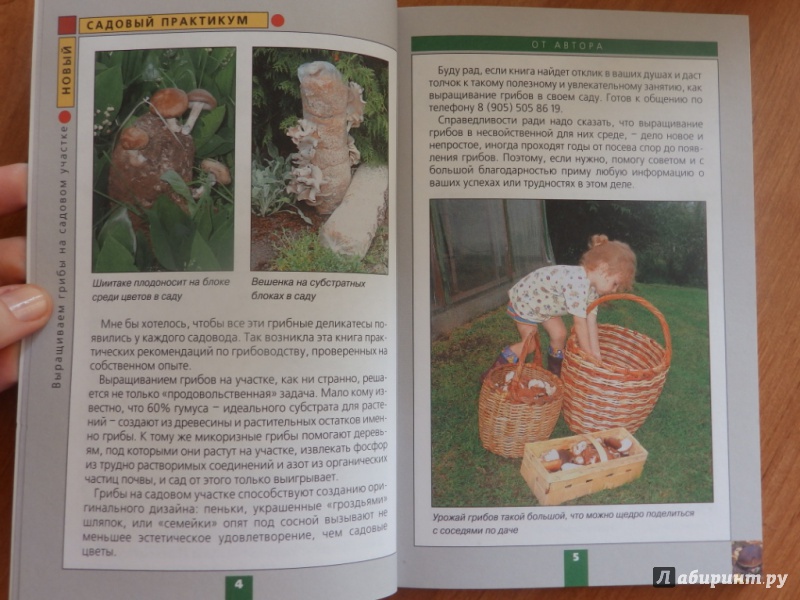 Иллюстрация 3 из 5 для Выращиваем грибы на садовом участке - Федор Карпов | Лабиринт - книги. Источник: товарищ маузер