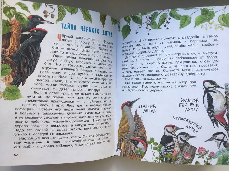 Иллюстрация 19 из 48 для Рассказы и сказки о животных - Житков, Сладков, Сахарнов | Лабиринт - книги. Источник: Лабиринт