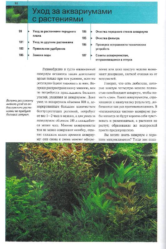 Иллюстрация 19 из 20 для Дизайн аквариума. Планировка, оформление, выбор растений, рыбы в аквариуме - Кристель Кассельман | Лабиринт - книги. Источник: Oslik IA