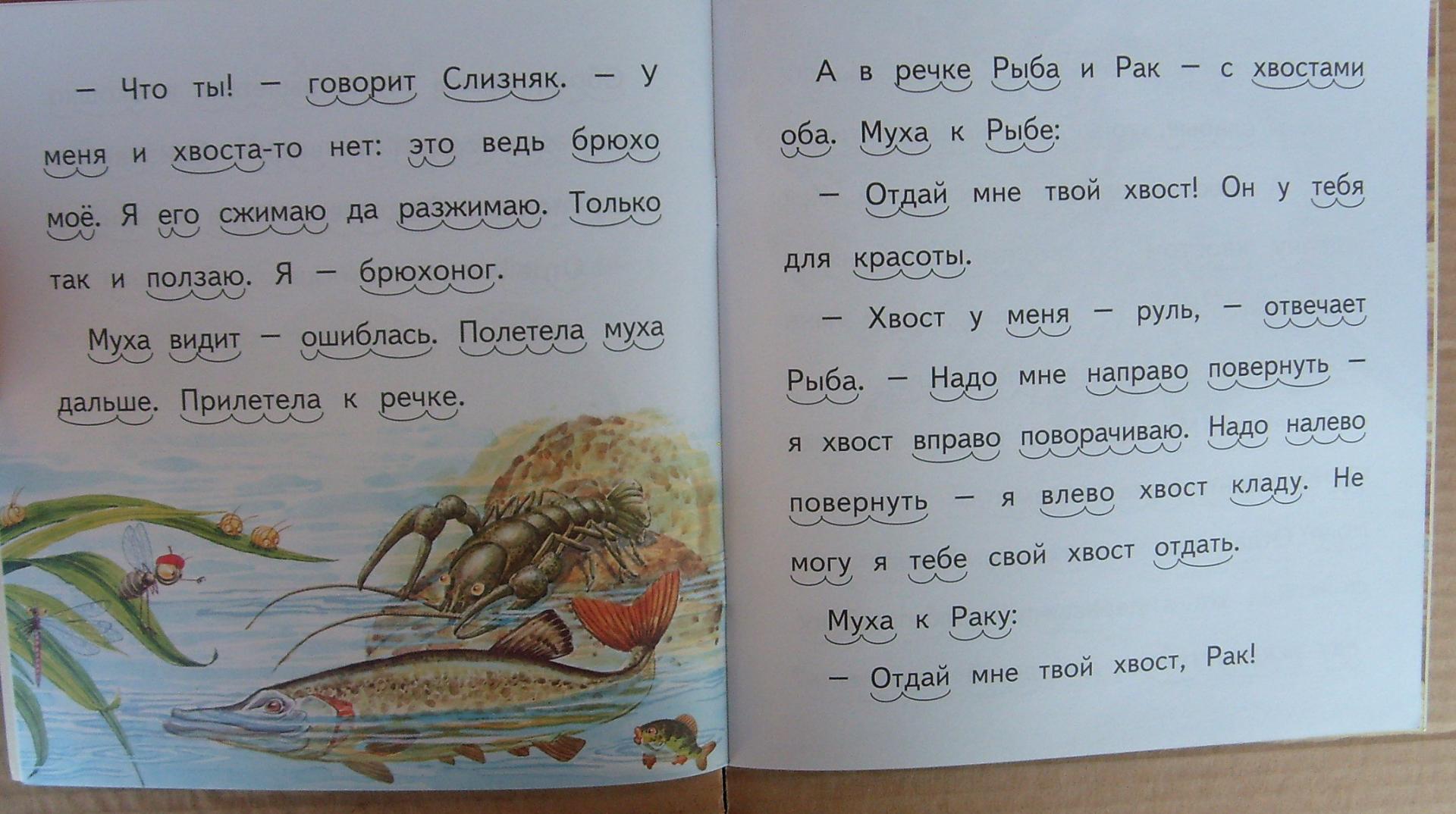 Иллюстрация 5 из 15 для Хвосты - Виталий Бианки | Лабиринт - книги. Источник: Соловьев  Владимир