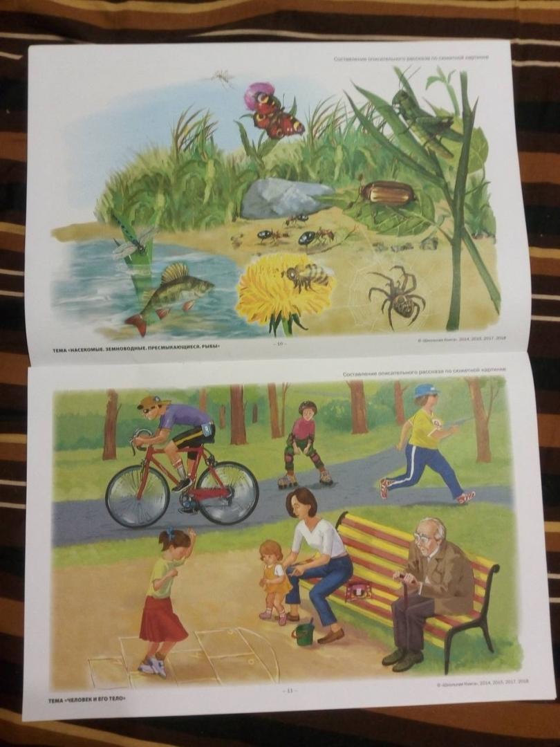 Иллюстрация 3 из 3 для Сюжетные картинки для составления описательных рассказов. Мир растений и грибов. Мир животных | Лабиринт - книги. Источник: Кугуар