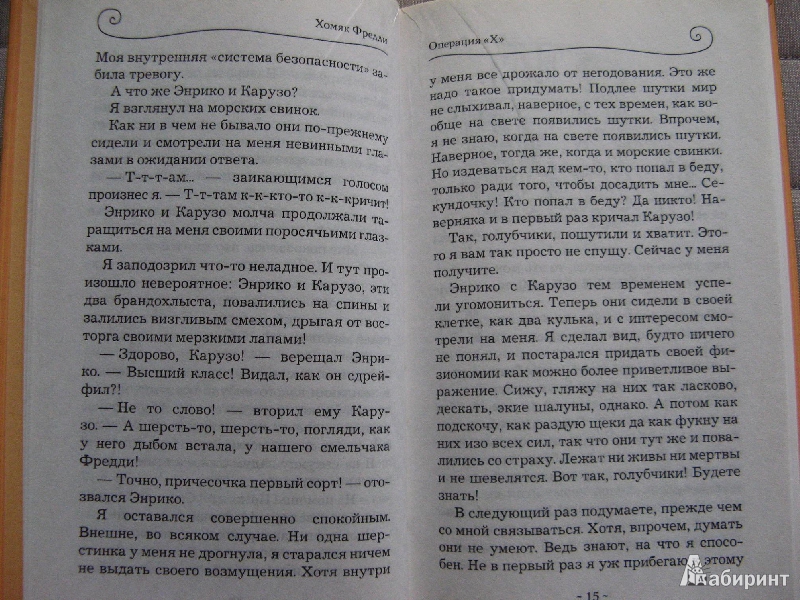 Иллюстрация 7 из 15 для Хомяк Фредди. Операция "Х" - Дитлоф Райхе | Лабиринт - книги. Источник: Ольга