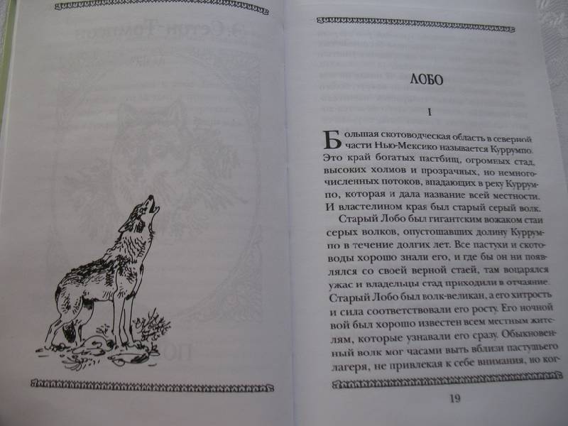 Иллюстрация 17 из 29 для Виннипегский волк,  Арго и другие... | Лабиринт - книги. Источник: tayana