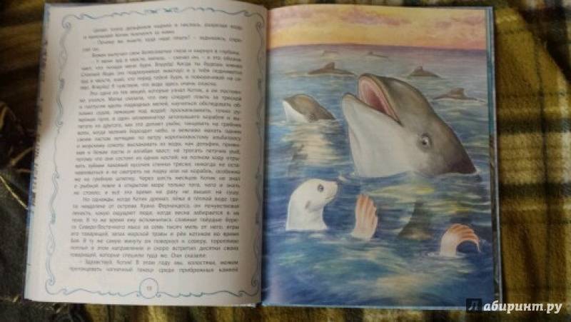 Иллюстрация 45 из 45 для Белый котик - Редьярд Киплинг | Лабиринт - книги. Источник: love-ka2007