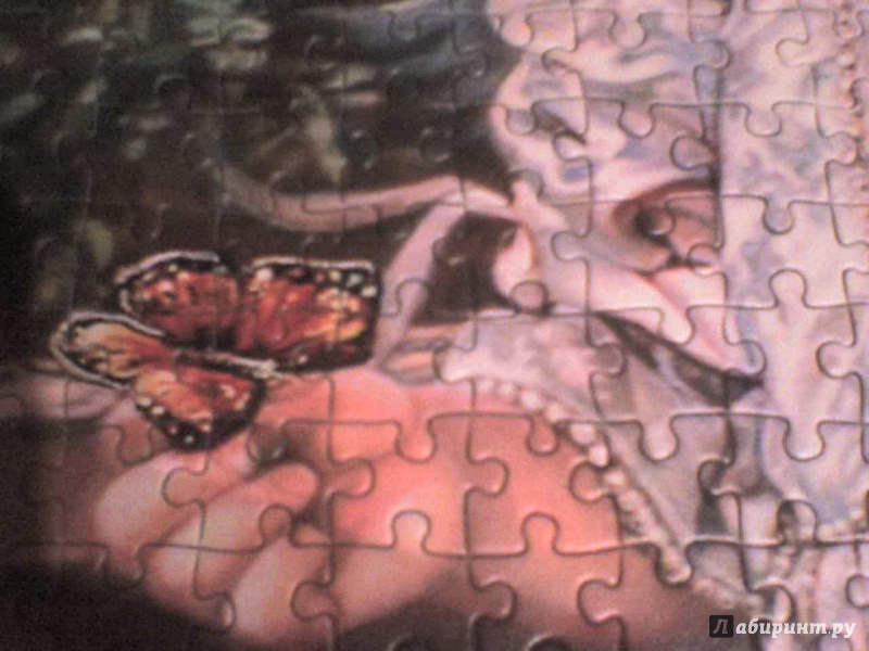 Иллюстрация 5 из 8 для Puzzle-1000 "Бабочка мечты" (C-103232) | Лабиринт - игрушки. Источник: Роза с шипами