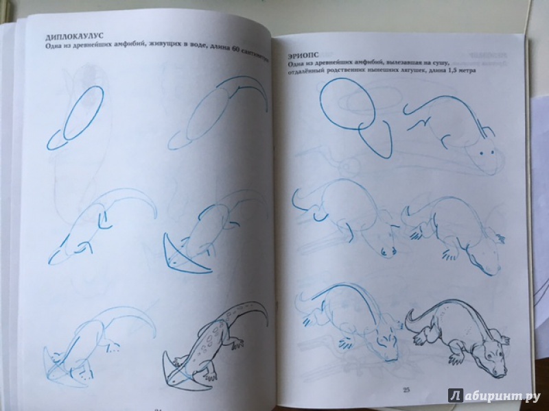 Иллюстрация 12 из 12 для Рисуем 50 динозавров и других доисторических животных - Ли Эймис | Лабиринт - книги. Источник: meinspiel