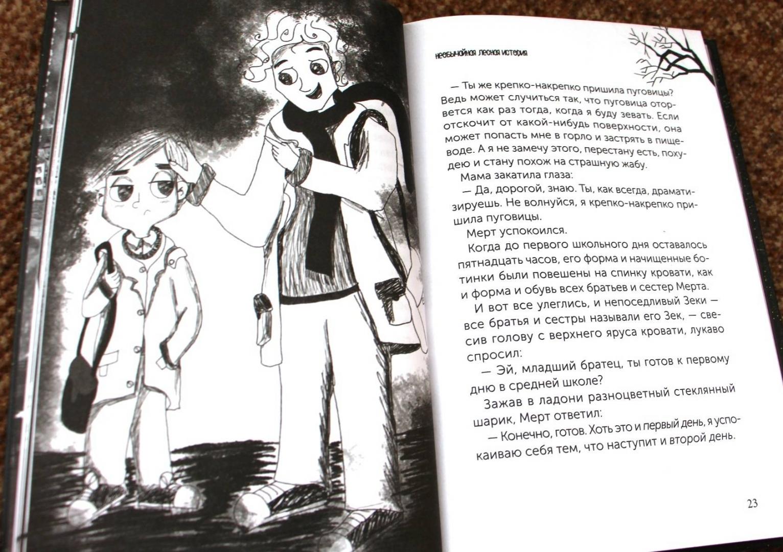 Иллюстрация 12 из 27 для Мальчик с угрюмым лицом, или Необычайная лесная история - Нур Домбайджи | Лабиринт - книги. Источник: Мама-Почитайка