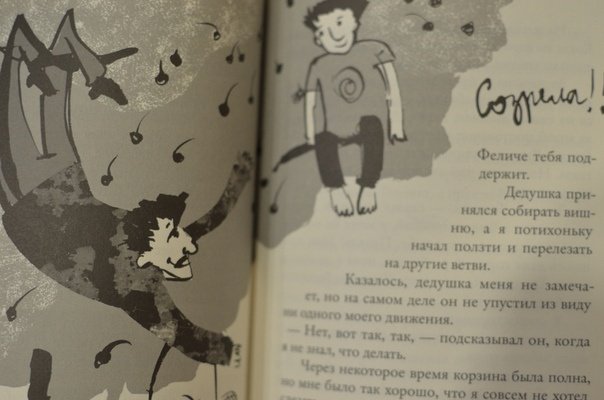 Иллюстрация 29 из 45 для Мой дедушка был вишней - Анджела Нанетти | Лабиринт - книги. Источник: Кудрова  Юлия