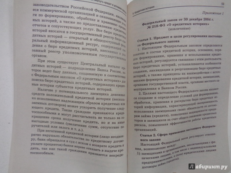 Иллюстрация 7 из 7 для Как вернуть кредит в условиях кризиса - Тимошенко, Камышанова | Лабиринт - книги. Источник: Сокол-Ан